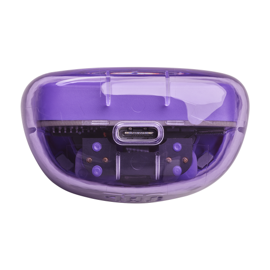 JBL Tune Flex Ghost Edition | True wireless Noise Cancelling earbuds